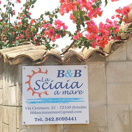 B&B La Sciaia A Mare Brindisi Eksteriør billede